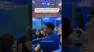 SeaWorld spectators sprayed after Orca defecates in pool