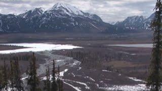 From rock'n'roll to the sounds of nature: Bernie Krause records Arctic sounds