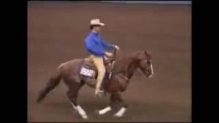 1993 AQHA SENIOR REINING WORLD CHAMPION1