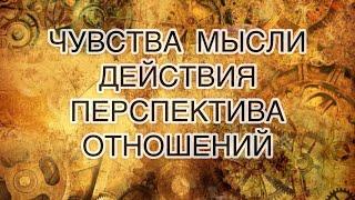 Мысли,чувства, действия, перспектива отношений| таро расклад на 1 вариант| пример личного расклада