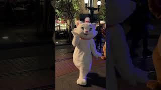 The Aristocats at Disney California Adventure for last night’s Moonlight Magic!