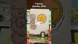 Стрелец ️ декабрь 2024 таро-прогноз