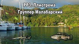 Русская Рыбалка 3. Плиотрема. Группер Малабарский (квест "королевская коллекция").