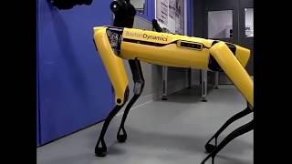 Latest Robot Dog Made By Boston Dynamic