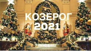 КОЗЕРОГ таро прогноз на 2021 год