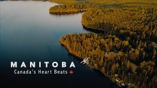 Manitoba - Canada's heart Beats | DJI Mavic mini 2 | #2