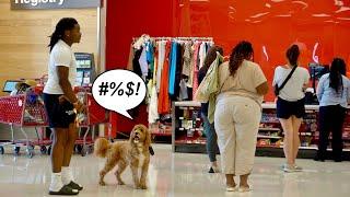 Cussing Dog Prank! 3