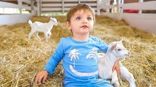 Baby Noah Meets Baby Goats for the First Time! *emotional*