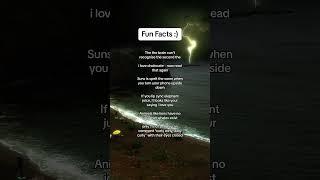 Fun facts