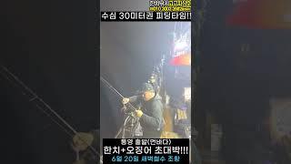 한치 오징어 초대박 손맛~주렁주렁~6월 20일 새벽철수, 통영 고고피싱호 조황