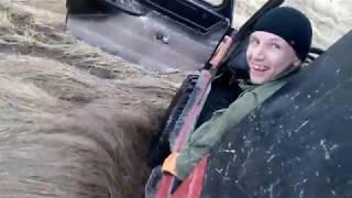 луаз плазма переплыл ручей в болоте