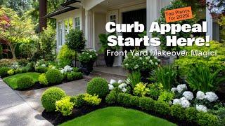 Top Small Front Yard Oasis: Best Foundation Plants for Curb Appeal in 2025