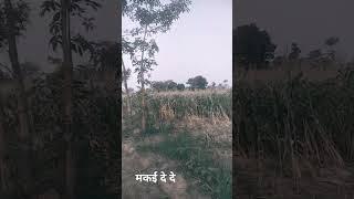 24 मई 2025