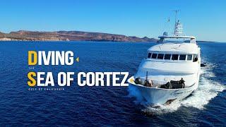 Diving the Sea of Cortez, Gulf of California Liveboard.