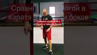 Плюсы и минусы удара ногой сбоку в тайском боксе