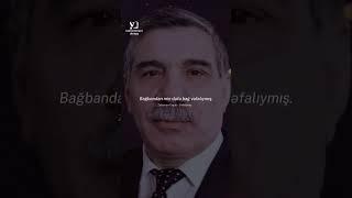 Zəlimxan Yaqub - Vəfalıymış