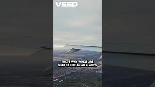 How Do Airplanes Stay in the Sky? How Planes Fly #airplanes #facts