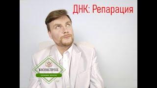 ДНК: Репарация. ЕГЭ Биология. ЕГЭ 2022.