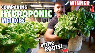 Deep Water Culture vs Kratky Hydroponics