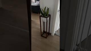 Подставка для растений🪴 #дизайнинтерьера #ремонтвдоме #diy #дизайнгостиной #wildberries #ремонт