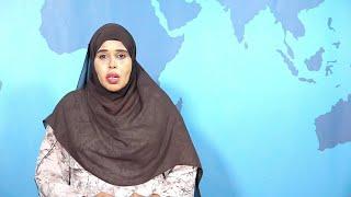 WARKA HABEEN SNTV 29 05 2025