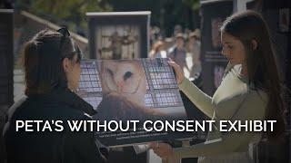 PETA’s Without Consent Exhibit Documents History of Exploitation of Animals in U.S. Laboratories