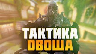 ТАКТИКА ОВОЩА || СМЕШНЫЕ МОМЕНТЫ (CS:GO) #1