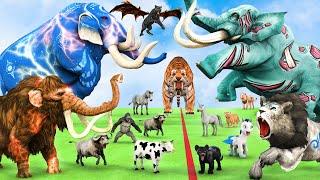 5 Giant Mammoth Elephant Cow vs 5 Giant Lion Tiger vs Hybrid Elephant Zebra Saved By Woolly Mammoth