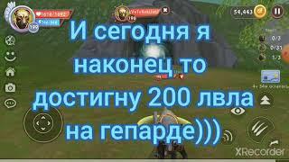 Прокачка гепарда до 200 уровня!)))