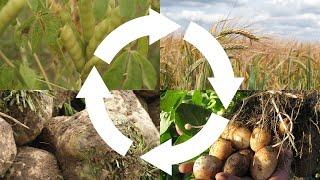 Best4Soil: Crop rotation – Practical Information