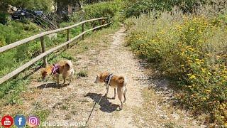 we just discovered this new country lane ️
