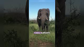 8 Fascinating Animal Facts That Will Leave You Shocked!