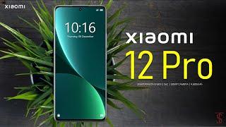 Xiaomi 12 Pro Price, Official Look, Camera, Design, Specifications, 12GB RAM, Features