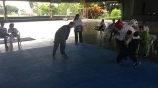 Artes Marciales tatgun