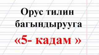 Кантип ОРУС тилин үйрөнүү керек?