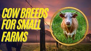 Homestead Cattle Raising: Top Cow Breeds for Small Farms