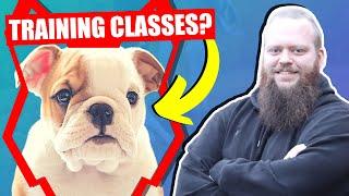 SHOULD MY ENGLISH BULLDOG GO TO PUPPY TRAINING CLASSES