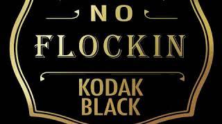 Kodak Black - "NO FLOCKIN" (Official Audio)