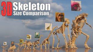 Animal, Dinosaur, and Sea Monster Skeletons 3D Size Comparison: Godzilla Vs Kong