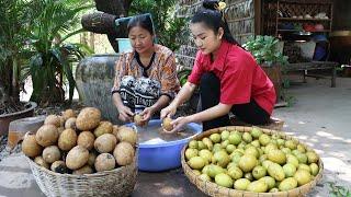 Harvest Sapodilla fruit and cooking - Delicious country food cooking - Countryside Life TV