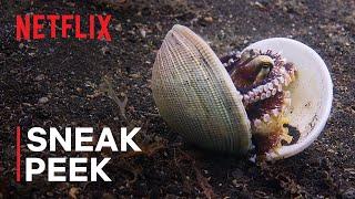 Our Oceans | Clever Octopus Shoots Fish | Sneak Peek | Netflix