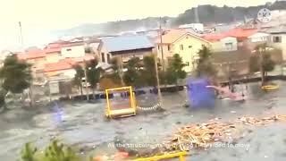 Misterious Tsunami Creature in Japan During Tsunami.