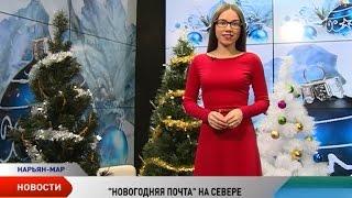 Телеканал «Север» предлагает необычно поздравить родных и близких с Новым годом