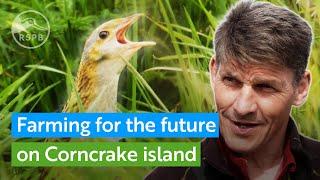 Farming for the future on Corncrake island | RSPB