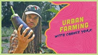 How Are Community Gardens Changing Food Deserts? | Outside Chance | Full Episode