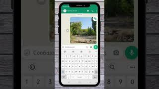 Как В Ватсапе Переводить Сообщения  #ватсап #whatsapp #переводчик