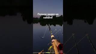 Трофей ерша на Волхове #русскаярыбалка4 #rr4 #ерш #волхов