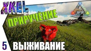 Приручил птеранодона! #5 - #ArkВЫЖИВАНИЕ В одиночку! Ark: Survival Evolved Прохождение