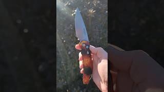 Protech TR-4 Del Fuego #protechknives #pvk #knifelife #knifeworld
