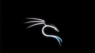 Complete Guide to update/install Kali Linux 2019.4